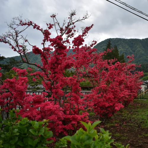 A Made Up Sound image