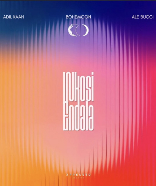 ALE BUCCI image