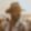 Profile photo of Andros