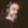 Profile photo of Antares