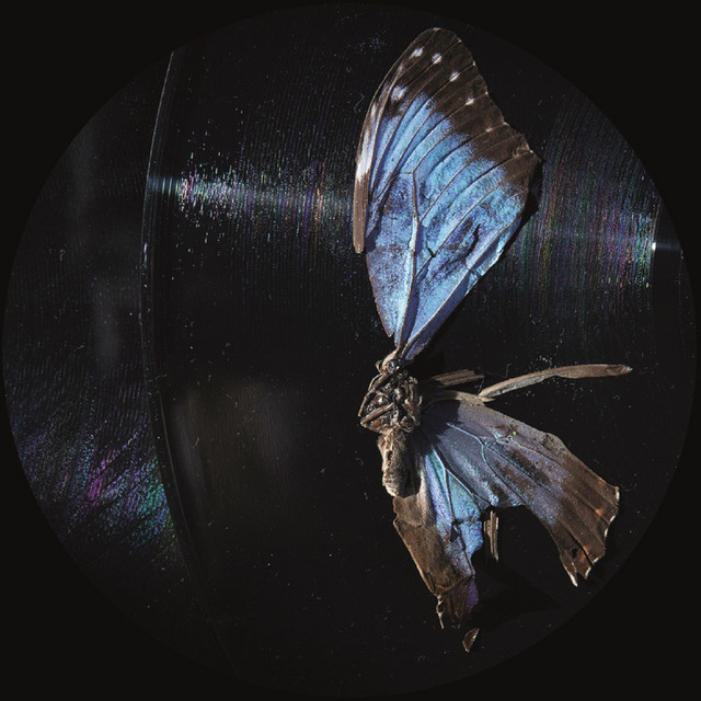 Ben Buitendijk image