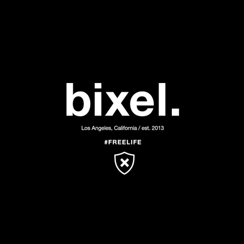Bixel Boys image