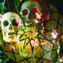 Profile photo of  BOHREN AND DER CLUB OF GORE