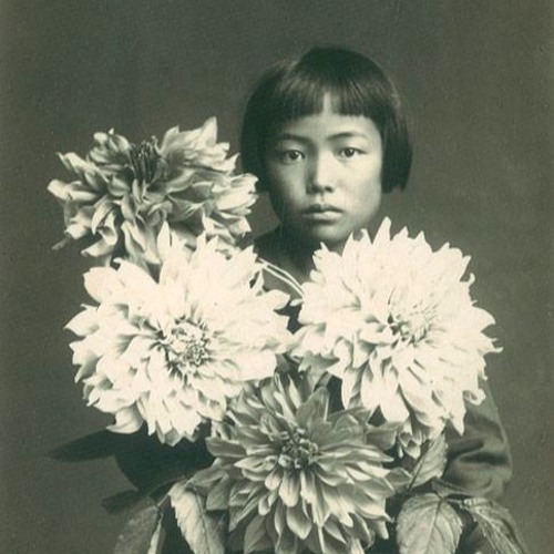 cami layè okùn image