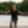Bild von Carlos Vives
