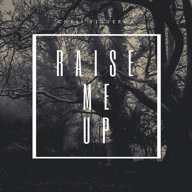 Chris Figueroa image