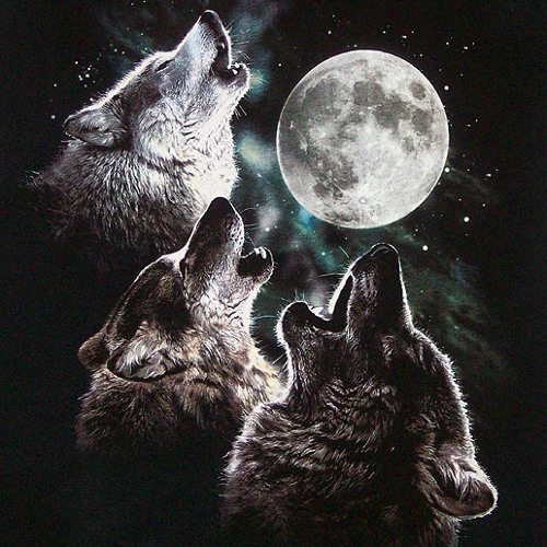 Christian Martin image