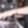 Profile photo of Conor Brophy