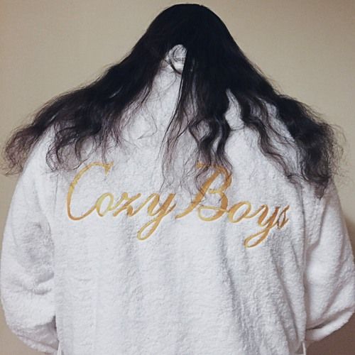 Cover for artist: Cozy Boys
