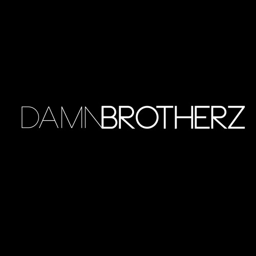 Damn Brotherz image