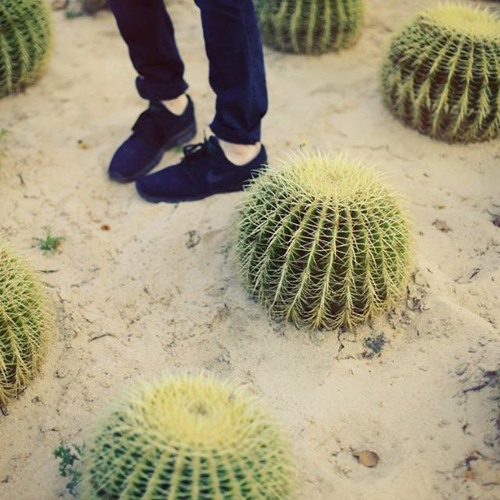 Daniel Baughman image