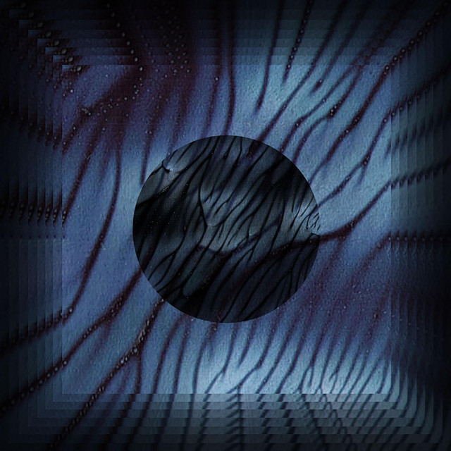 DANIEL NORGREN image