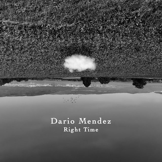 Cover for artist: Dario Mendez