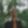 Bild von Dark Sky