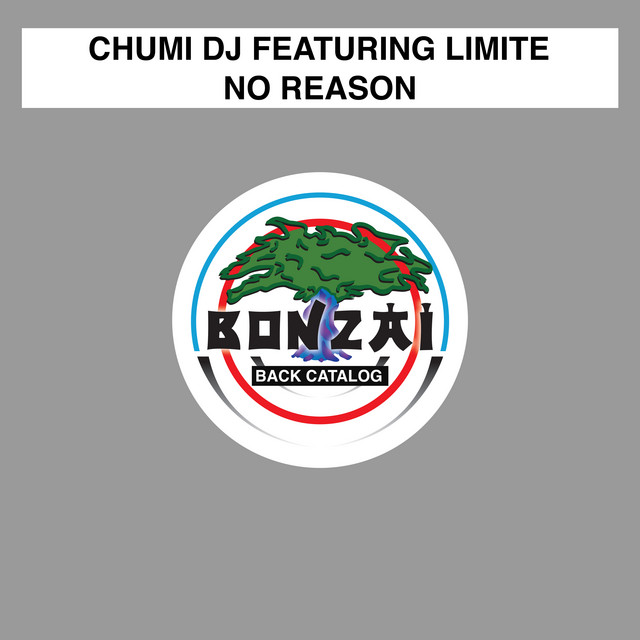 Dj Chumi image
