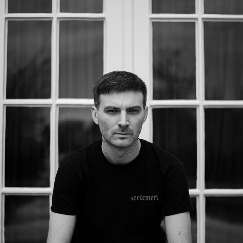 Domenico Crisci image