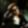 Profile photo of Dyrtyy