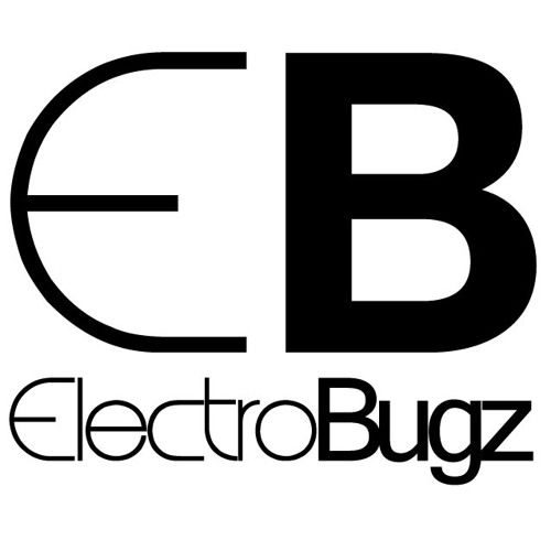 Cover for artist: Electrobugz