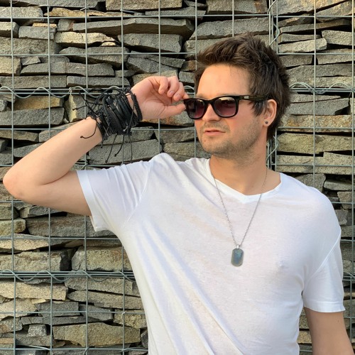 Erich Von Kollar image