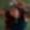 Profile photo of Evie