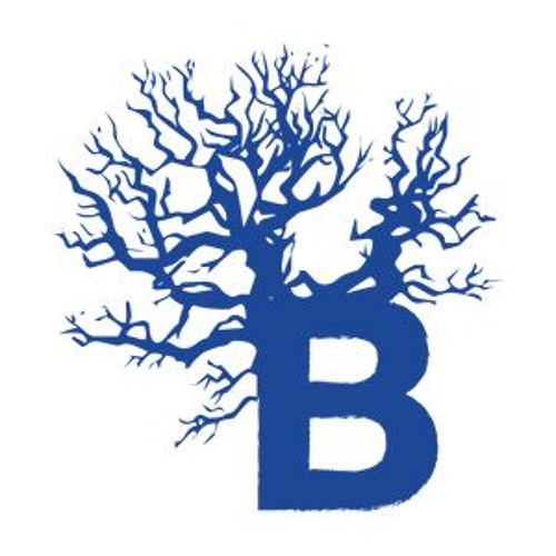 Fabio della Torre - Bosconi Records image