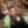 Profile photo of Fais le Beau