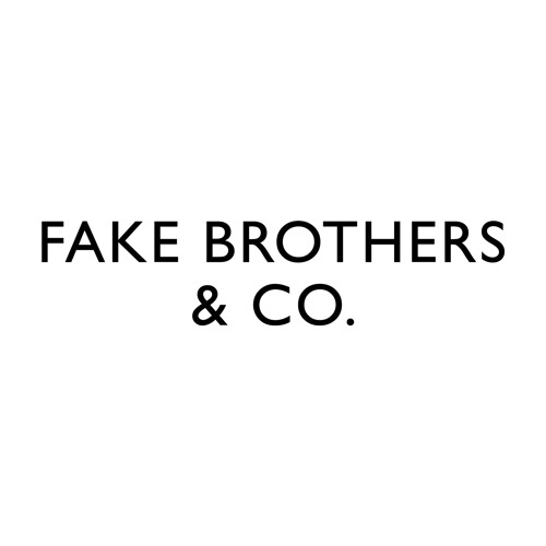 Fake Brotherz image