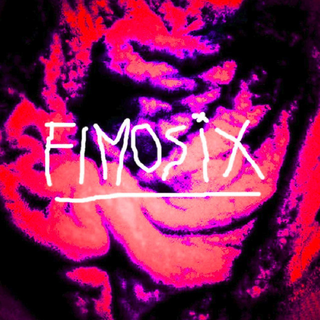 FIMOSIX image
