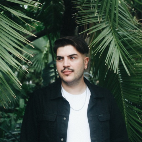 Forest On Stasys image