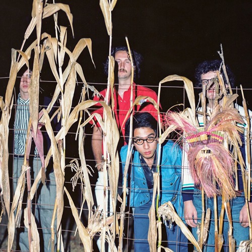 Frankie Flowers image