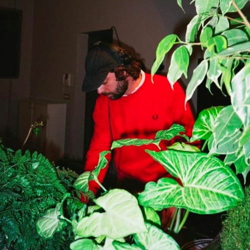 Futuro Tropicale image