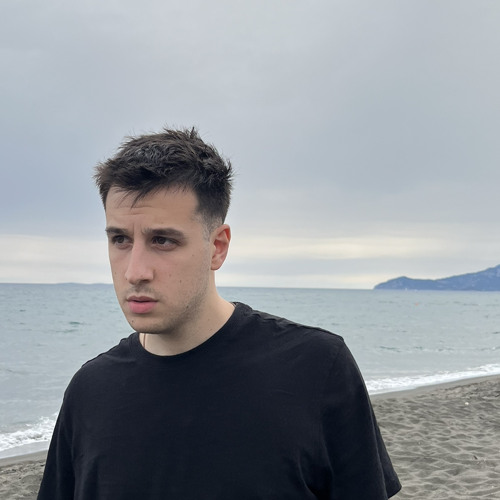 Gabriele Serafini image