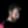 Profile photo of Gandalf (Genau)