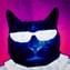 Profile photo of Gatitomiau