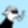 Profile photo of Impure_ofc