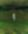 Picture of iñigo quintero