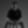 Profile photo of J Young