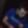 Profile photo of Jamie S