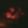 Profile photo of Jav Jav