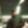 Profile photo of Joey Risdon