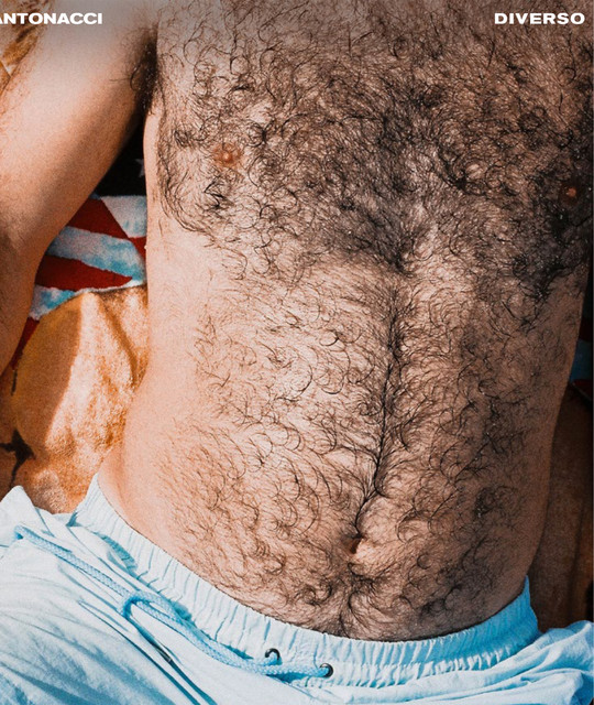 Le feste antonacci image