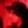 Profile photo of MATALLAS
