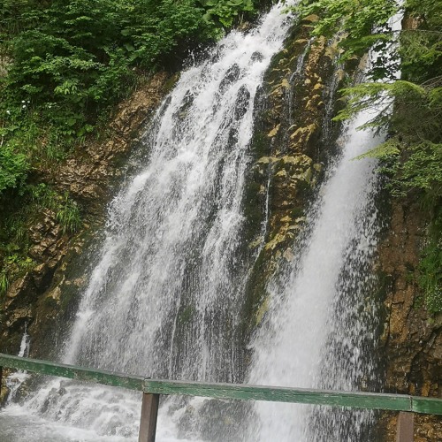 Matthew Harrington image