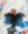 Profile photo of Mazzariello