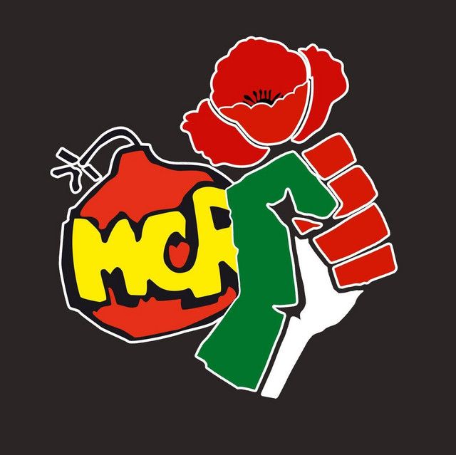 Modena City Ramblers image