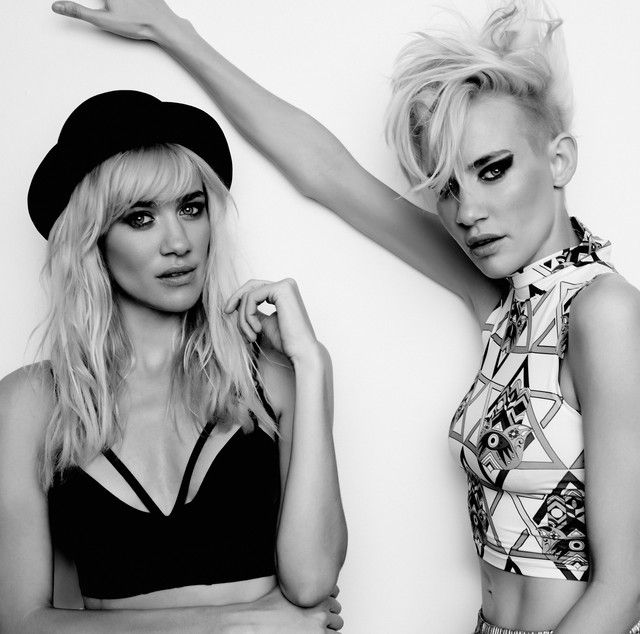 Picture of Nervo