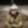 Profile photo of PG