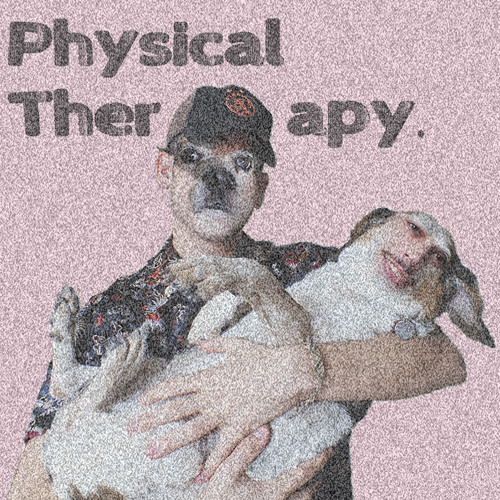 Physical Therapy image