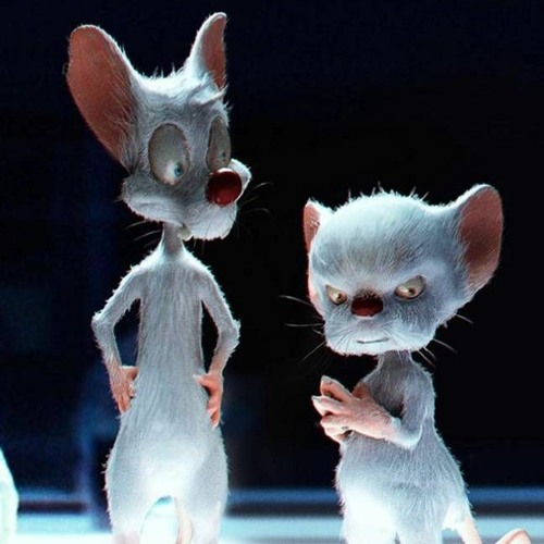 Punky & The Brain image