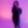 Bild von Rebecca Goldberg